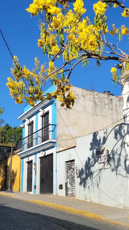 Departamentos Oaxaca Bonito Apartment Ngoại thất bức ảnh