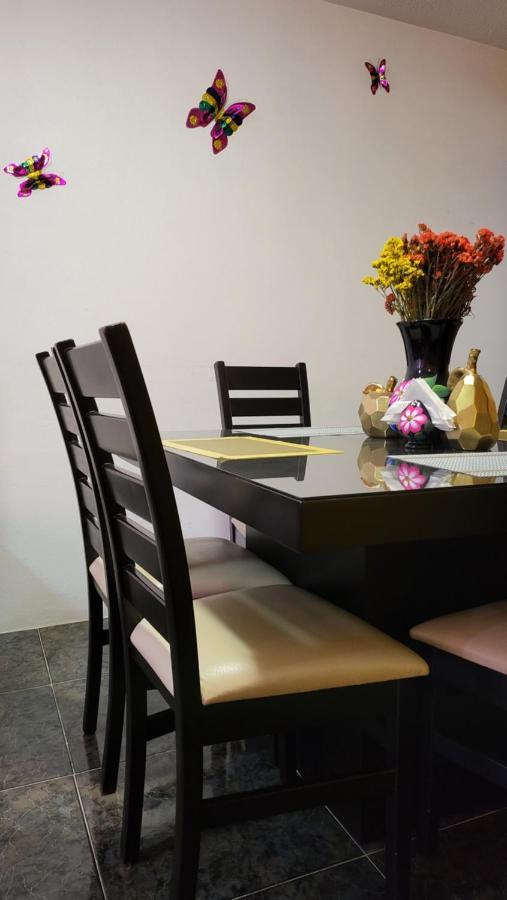 Departamentos Oaxaca Bonito Apartment Ngoại thất bức ảnh